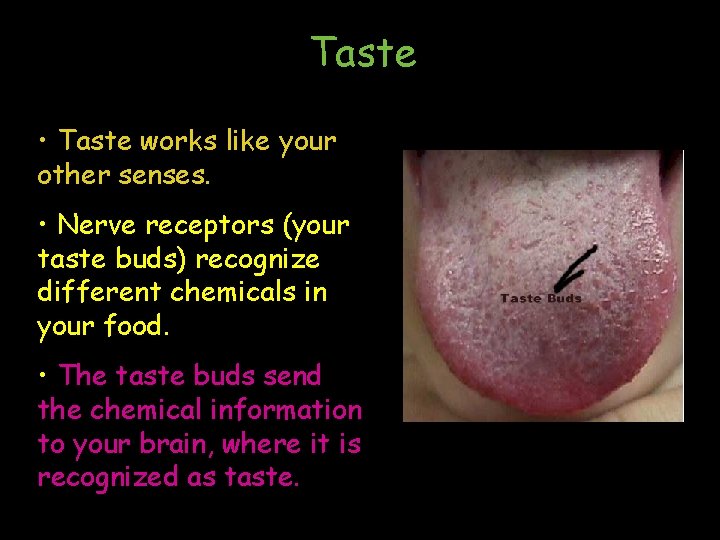 Taste • Taste works like your other senses. • Nerve receptors (your taste buds)