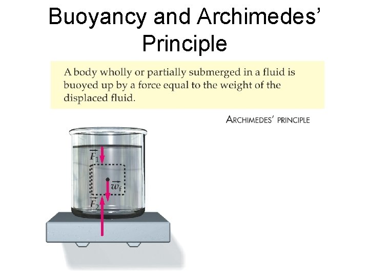 Buoyancy and Archimedes’ Principle 