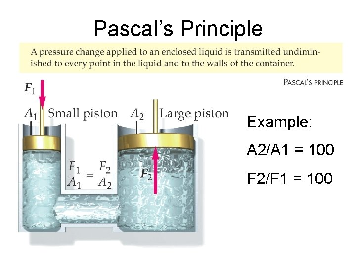 Pascal’s Principle Example: A 2/A 1 = 100 F 2/F 1 = 100 