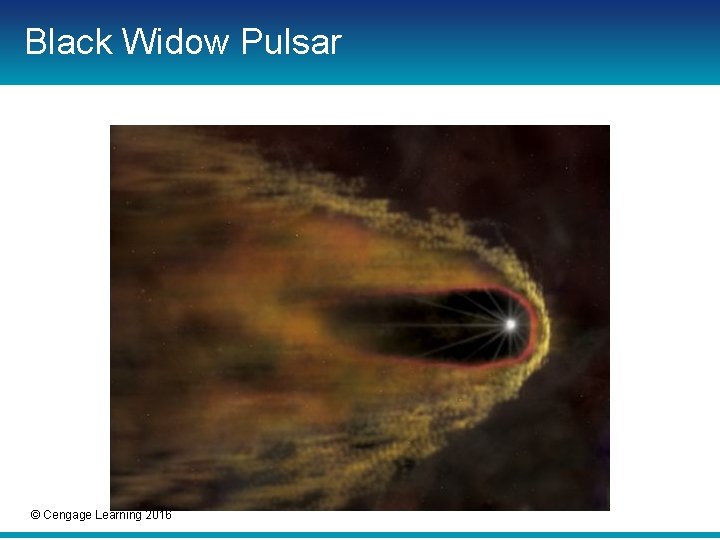 Black Widow Pulsar © Cengage Learning 2016 Black Widow Pulsar © Cengage Learning 2016