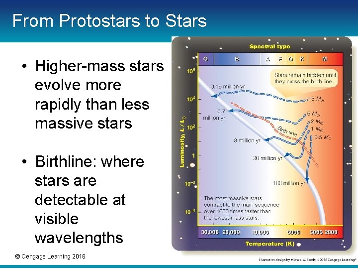 From Protostars to Stars • Higher-mass stars evolve more rapidly than less massive stars From Protostars to Stars • Higher-mass stars evolve more rapidly than less massive stars