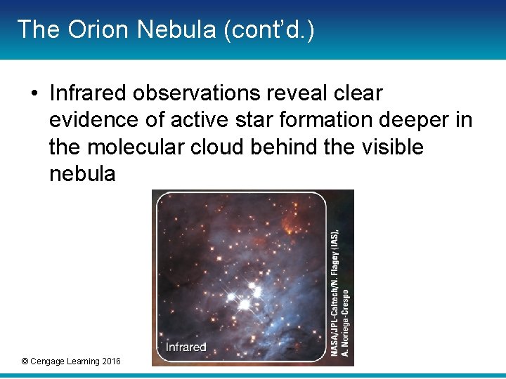The Orion Nebula (cont’d. ) • Infrared observations reveal clear evidence of active star The Orion Nebula (cont’d. ) • Infrared observations reveal clear evidence of active star