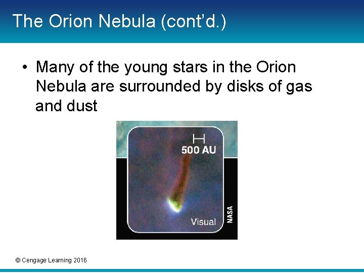 The Orion Nebula (cont’d. ) • Many of the young stars in the Orion The Orion Nebula (cont’d. ) • Many of the young stars in the Orion
