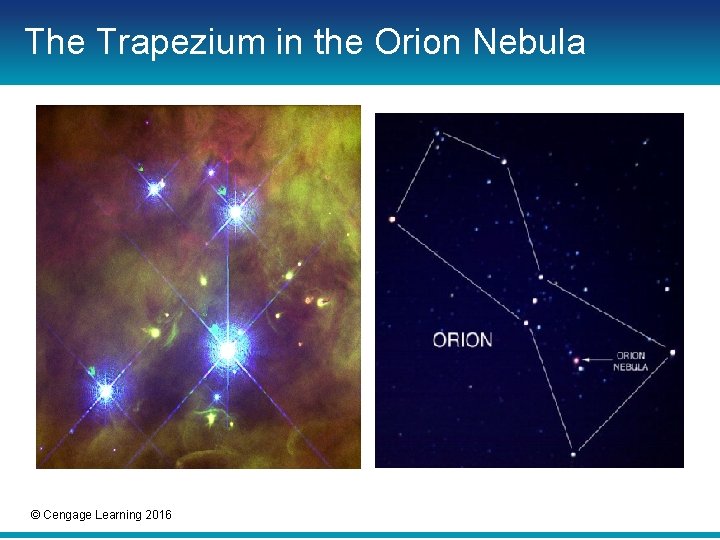 The Trapezium in the Orion Nebula © Cengage Learning 2016 The Trapezium in the Orion Nebula © Cengage Learning 2016