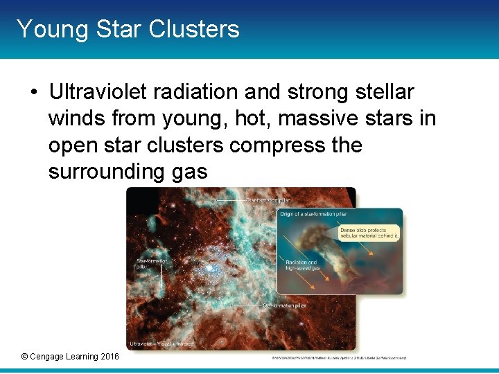 Young Star Clusters • Ultraviolet radiation and strong stellar winds from young, hot, massive Young Star Clusters • Ultraviolet radiation and strong stellar winds from young, hot, massive