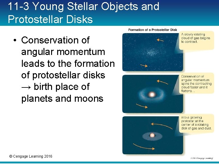 11 -3 Young Stellar Objects and Protostellar Disks • Conservation of angular momentum leads 11 -3 Young Stellar Objects and Protostellar Disks • Conservation of angular momentum leads