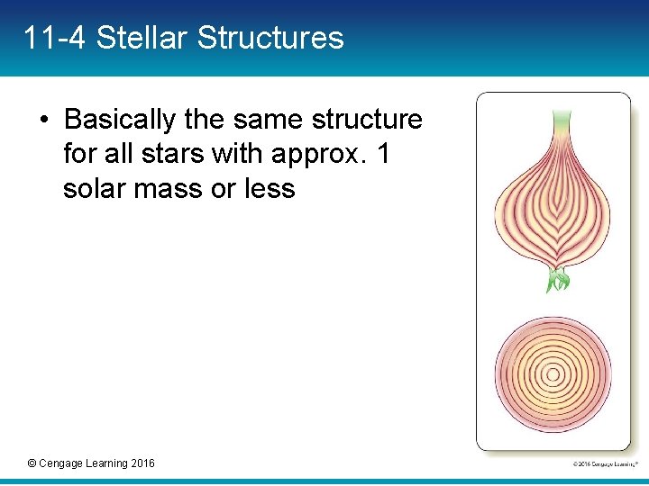 11 -4 Stellar Structures • Basically the same structure for all stars with approx. 11 -4 Stellar Structures • Basically the same structure for all stars with approx.