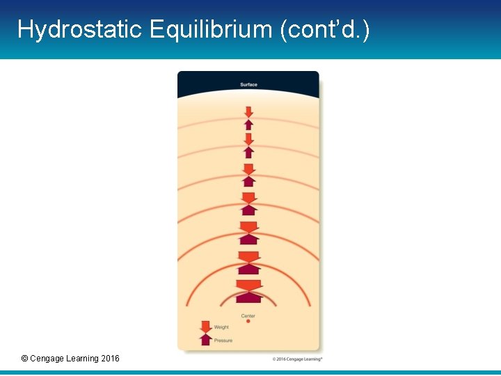Hydrostatic Equilibrium (cont’d. ) © Cengage Learning 2016 Hydrostatic Equilibrium (cont’d. ) © Cengage Learning 2016