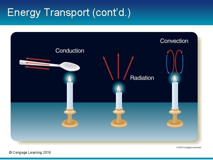 Energy Transport (cont’d. ) © Cengage Learning 2016 Energy Transport (cont’d. ) © Cengage Learning 2016