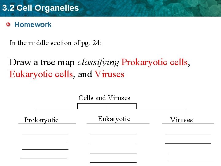3. 2 Cell Organelles Homework In the middle section of pg. 24: Draw a