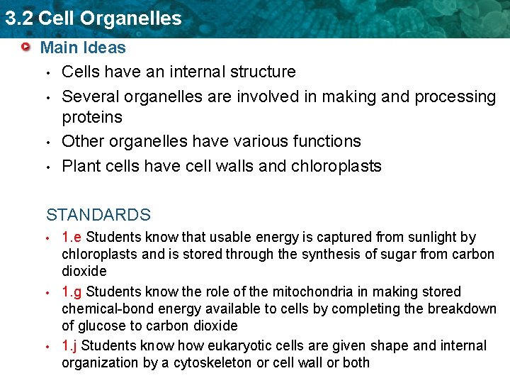 3. 2 Cell Organelles Main Ideas • Cells have an internal structure • Several