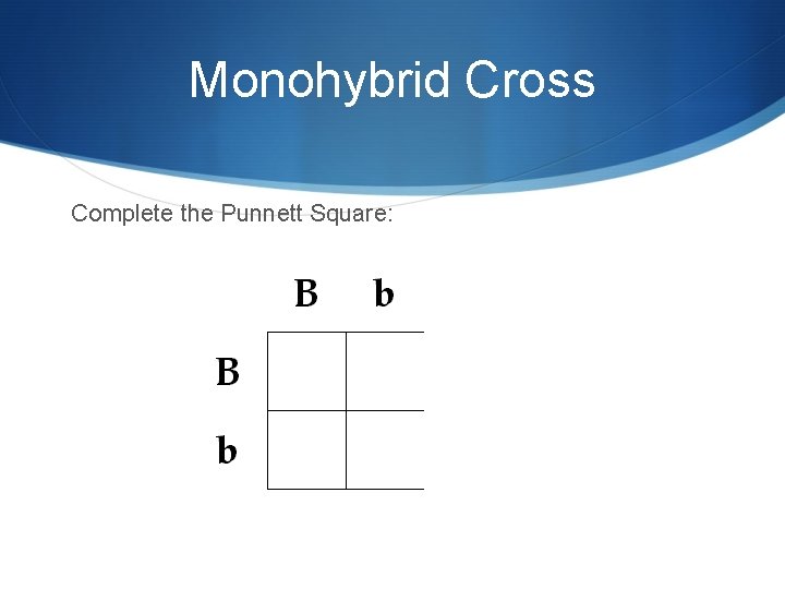 Monohybrid Cross Complete the Punnett Square: 