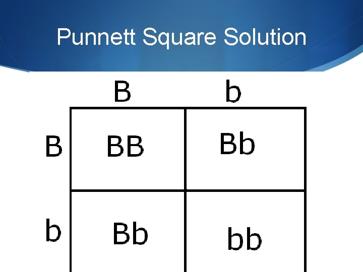 Punnett Square Solution 