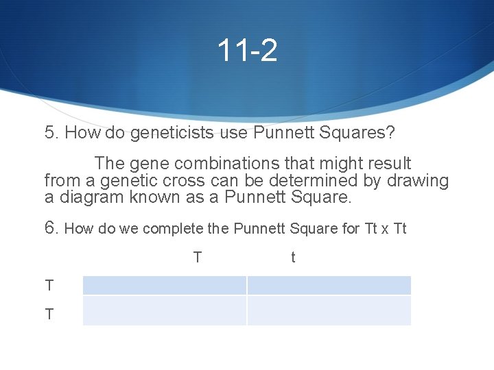 11 -2 5. How do geneticists use Punnett Squares? The gene combinations that might