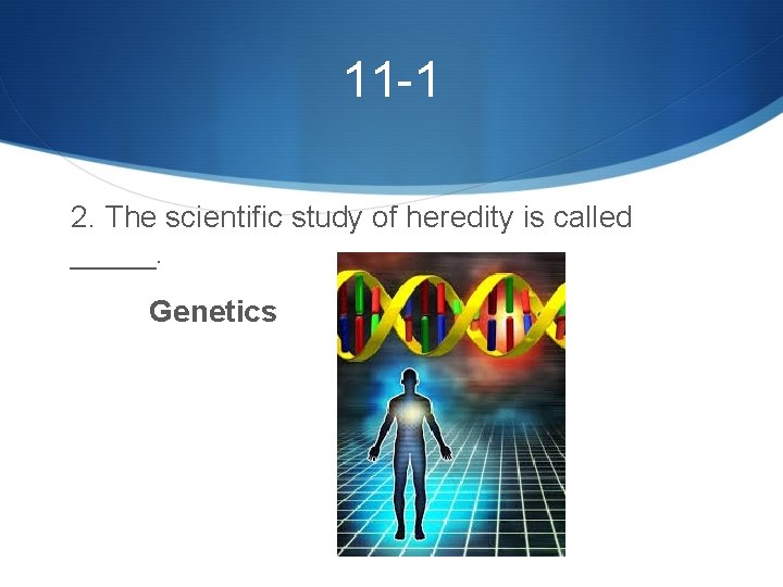 11 -1 2. The scientific study of heredity is called _____. Genetics 