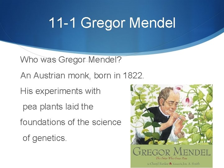 11 -1 Gregor Mendel Who was Gregor Mendel? An Austrian monk, born in 1822.