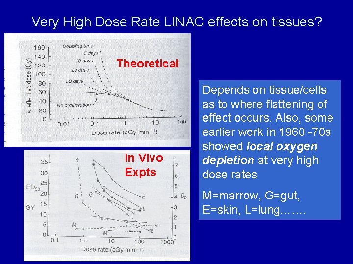Very High Dose Rate LINAC effects on tissues? Theoretical In Vivo Expts Depends on