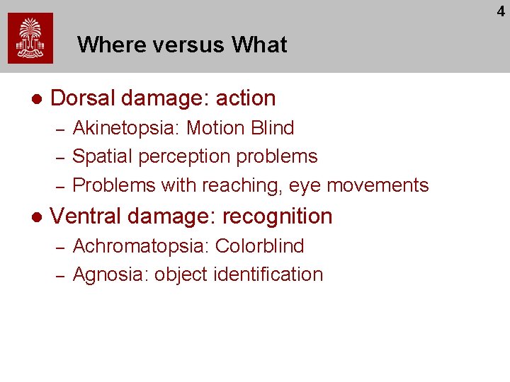 4 Where versus What l Dorsal damage: action – – – l Akinetopsia: Motion