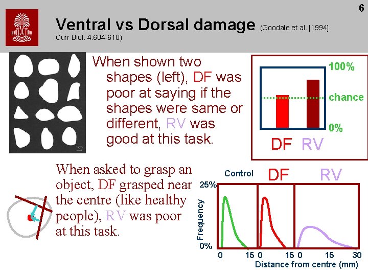 6 Ventral vs Dorsal damage (Goodale et al. [1994] Curr Biol. 4: 604 -610)