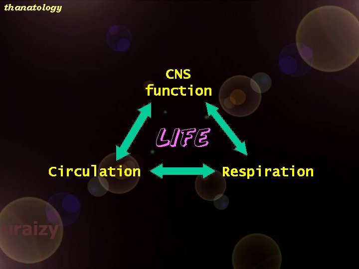 thanatology CNS function LIFE Circulation Respiration 