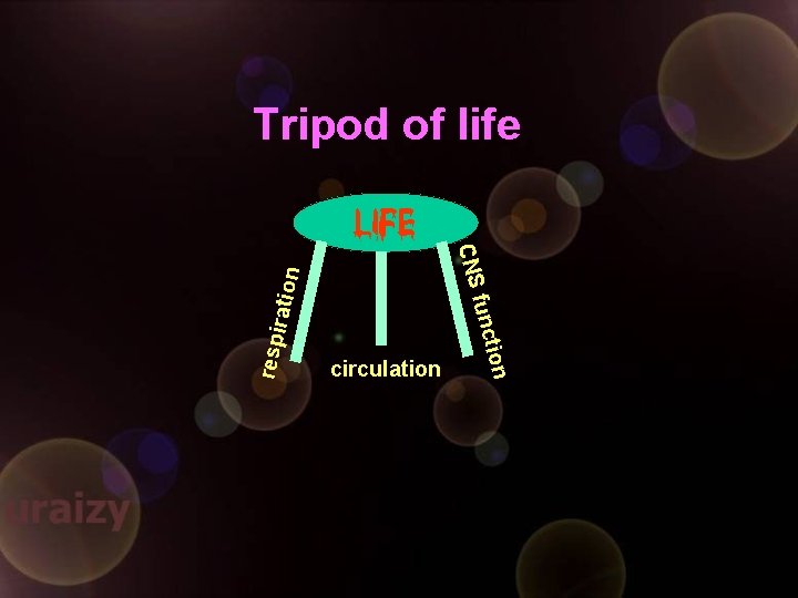 Tripod of life Life respi ion unct ration f CNS circulation 