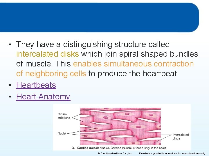  • They have a distinguishing structure called intercalated disks which join spiral shaped