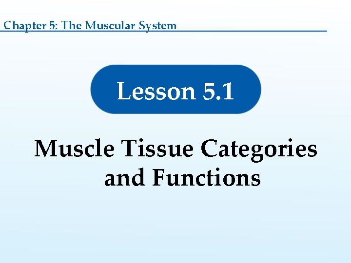 Chapter 5: The Muscular System Lesson 5. 1 Muscle Tissue Categories and Functions 