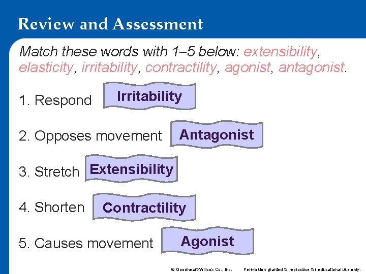 Review and Assessment Match these words with 1– 5 below: extensibility, elasticity, irritability, contractility,