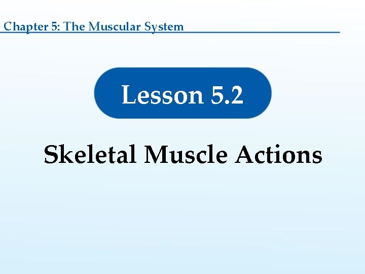 Chapter 5: The Muscular System Lesson 5. 2 Skeletal Muscle Actions 
