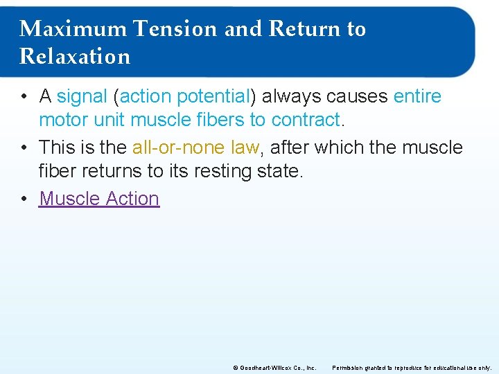 Maximum Tension and Return to Relaxation • A signal (action potential) always causes entire