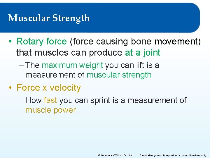 Muscular Strength • Rotary force (force causing bone movement) that muscles can produce at