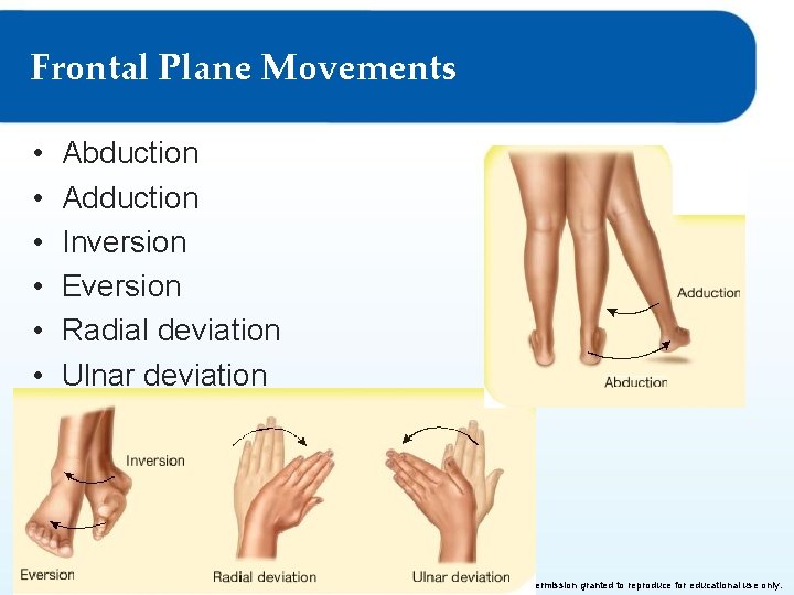 Frontal Plane Movements • • • Abduction Adduction Inversion Eversion Radial deviation Ulnar deviation