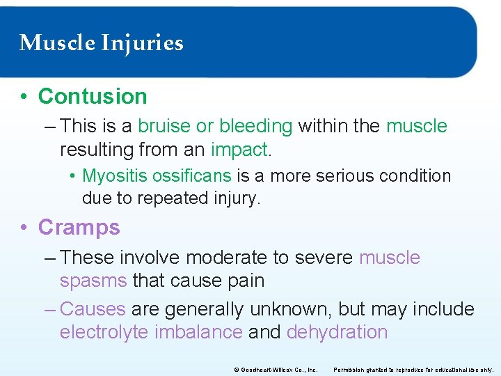 Muscle Injuries • Contusion – This is a bruise or bleeding within the muscle