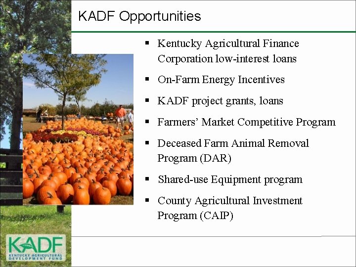 KADF Opportunities § Kentucky Agricultural Finance Corporation low-interest loans § On-Farm Energy Incentives §