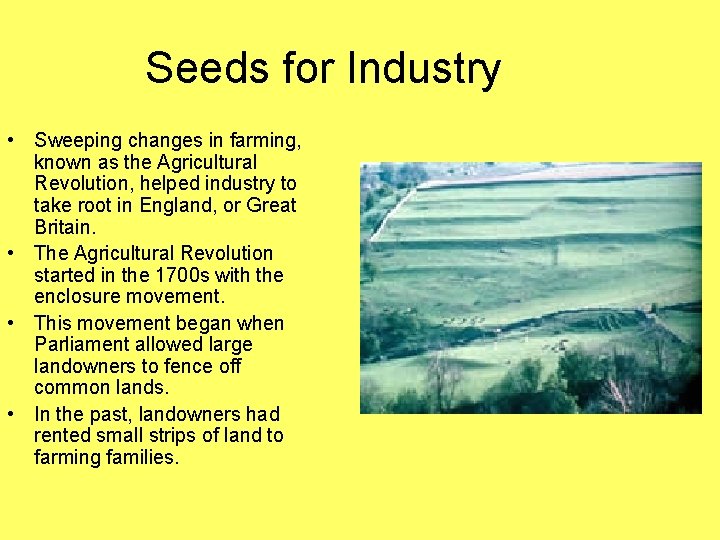 Seeds for Industry • Sweeping changes in farming, known as the Agricultural Revolution, helped