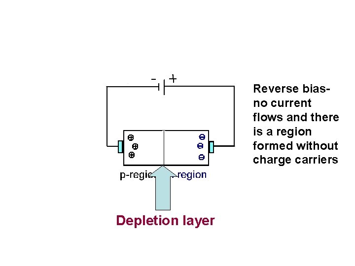 Reverse biasno current flows and there is a region formed without charge carriers Depletion