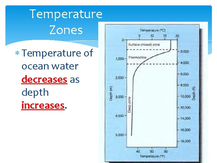 Temperature Zones Temperature of ocean water decreases as depth increases. 