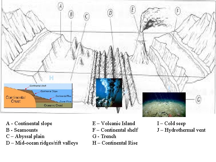 H J A - Continental slope B - Seamounts C – Abyssal plain D