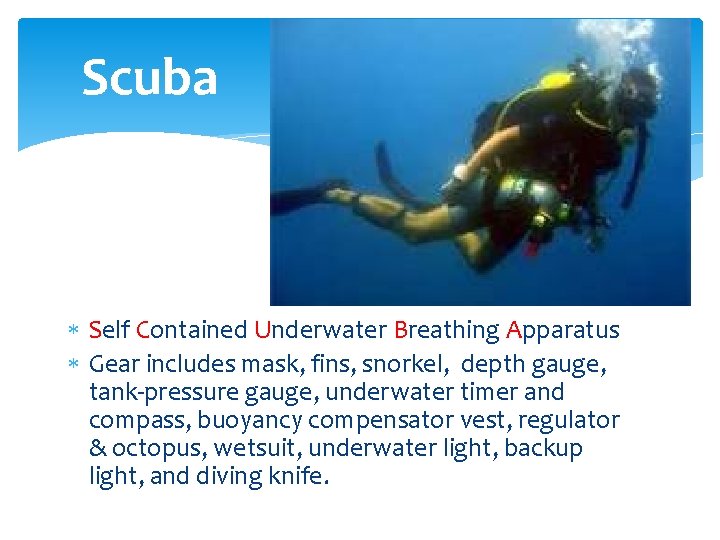 Scuba Self Contained Underwater Breathing Apparatus Gear includes mask, fins, snorkel, depth gauge, tank-pressure