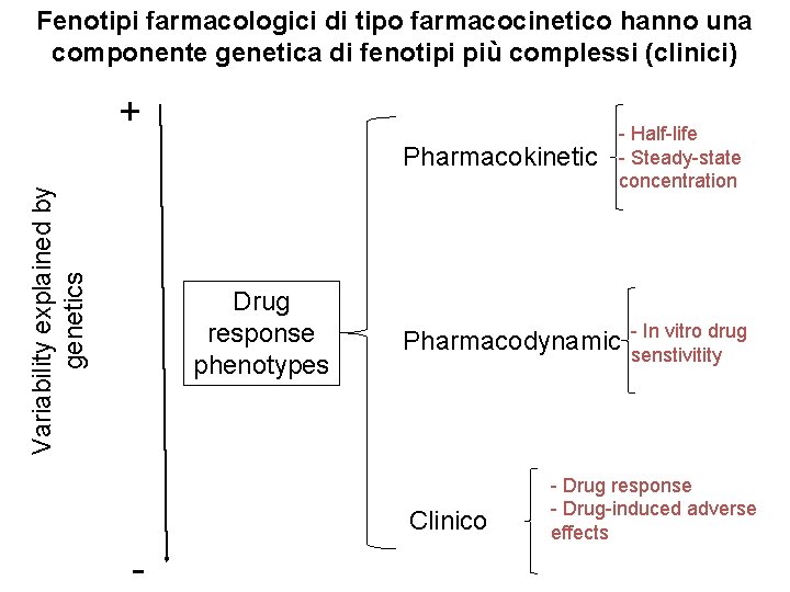 Fenotipi farmacologici di tipo farmacocinetico hanno una componente genetica di fenotipi più complessi (clinici)