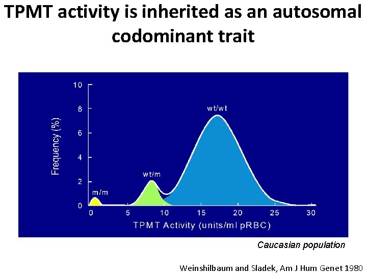 TPMT activity is inherited as an autosomal codominant trait Caucasian population Weinshilbaum and Sladek,