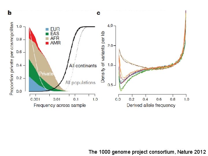 The 1000 genome project consortium, Nature 2012 