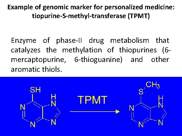 Example of genomic marker for personalized medicine: tiopurine-S-methyl-transferase (TPMT) Enzyme of phase-II drug metabolism