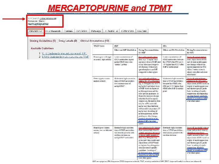 MERCAPTOPURINE and TPMT 