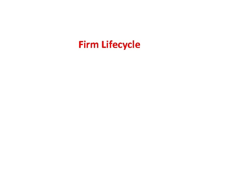 Firm Lifecycle 