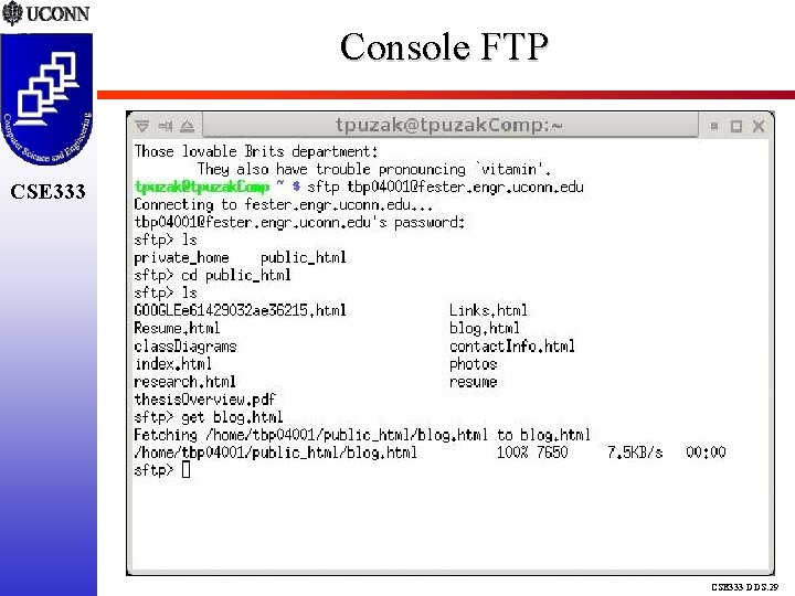 Console FTP CSE 333 DDS. 29 