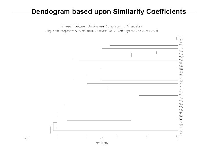 Dendogram based upon Similarity Coefficients 