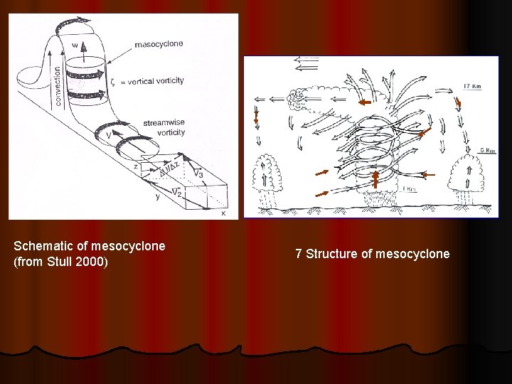 Schematic of mesocyclone (from Stull 2000) 7 Structure of mesocyclone 