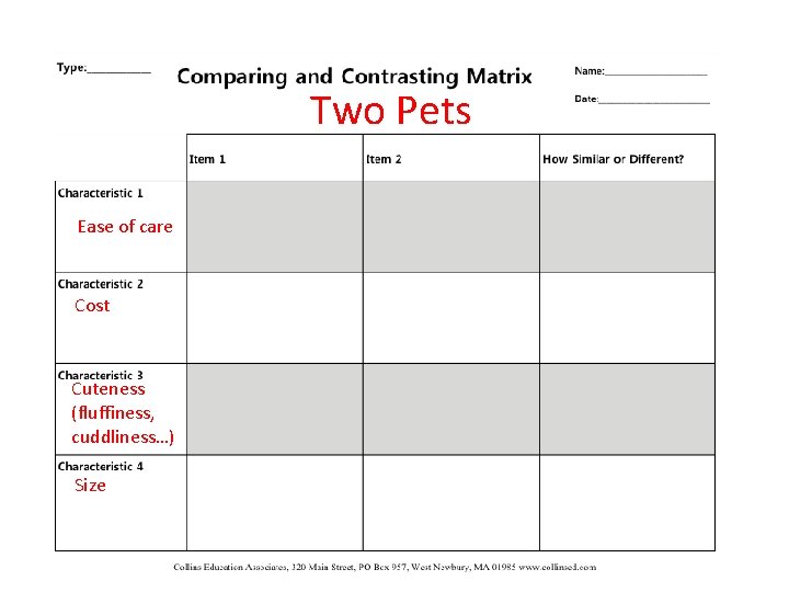 Two Pets Ease of care Cost Cuteness (fluffiness, cuddliness…) Size 