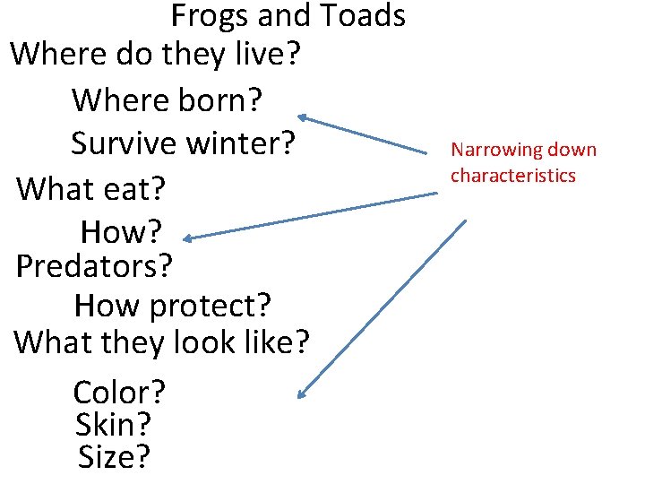 Frogs and Toads Where do they live? Where born? Survive winter? What eat? How?